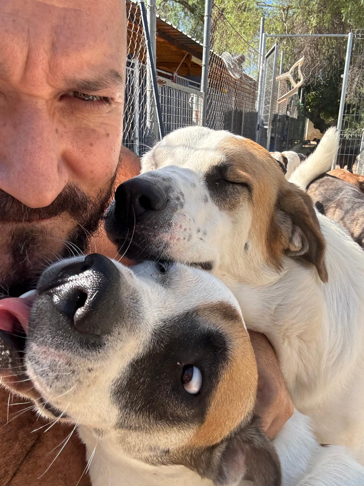 Andrés Salar, El Loco de los Perros
